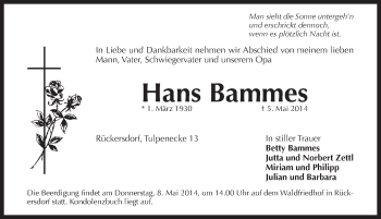 Traueranzeige von Hans Bammes von Pegnitz-Zeitung